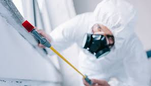 Emergency Pest Control in Commerce City, CO